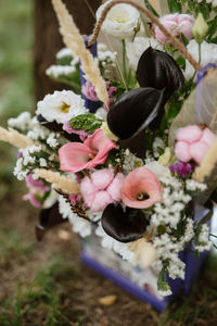 Close-up of flowers