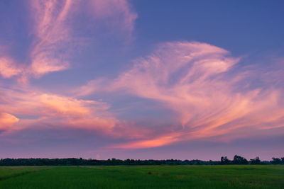 Scenic view of agricultural field against sky during sunset