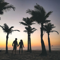 tropical climate