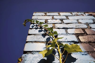 Low angle view of wall against clear sky