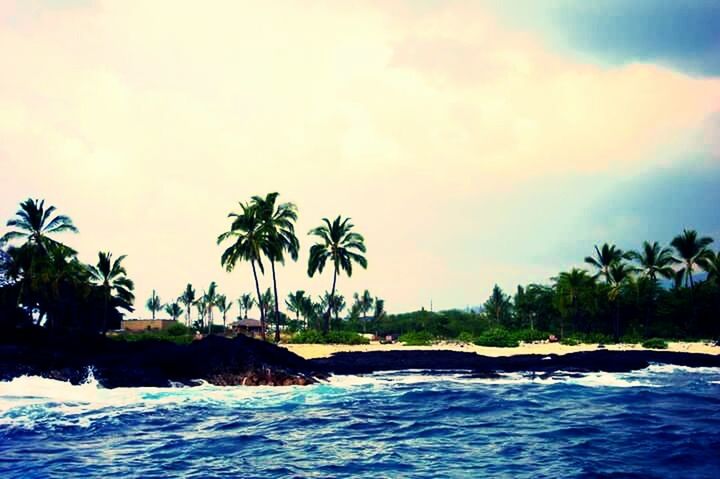 palm tree, water, sea, tree, scenics, tranquil scene, tranquility, beauty in nature, sky, nature, beach, waterfront, horizon over water, rock - object, idyllic, shore, rock formation, tropical climate, coastline, cloud - sky