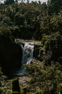 High angle view of waterfall in forest