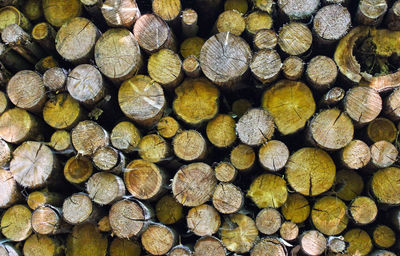 Full frame shot of logs