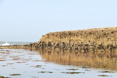 Scenic view of sea against clear sky