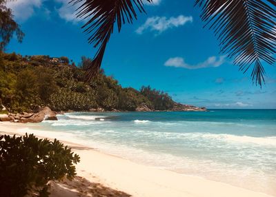 Scenic view of beach against sky