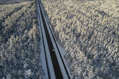 Aerial view of asphalt highway leading through frosty winter forests and groves covered with snow