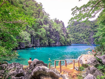 Scenic view of river by trees against clear sky