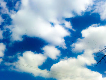 Low angle view of birds flying against blue sky