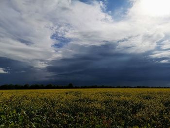 Scenic view of agricultural field against cloudy sky