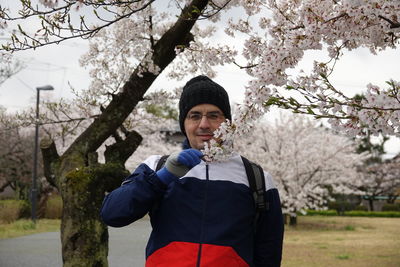 Sakura cherry blossom tree in japan niigata, shibata 