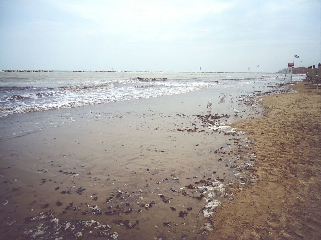 beach, sea, water, sand, shore, horizon over water, sky, tranquil scene, tranquility, wave, scenics, nature, beauty in nature, coastline, surf, wet, incidental people, idyllic, day, outdoors