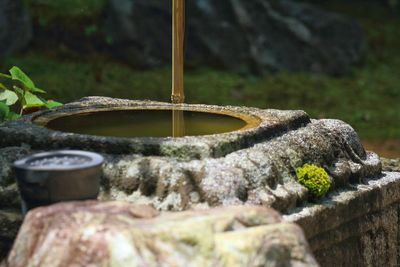 Close-up of water in stone container at temple