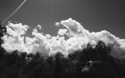 Low angle view of trees against sky