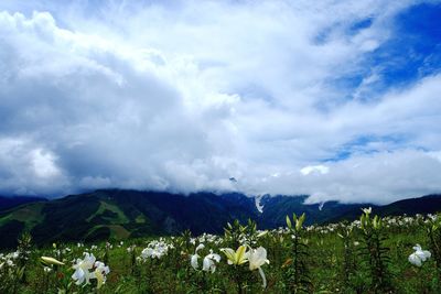 Scenic view of mountains against sky