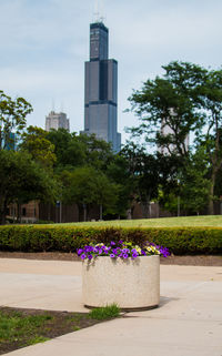 View of park with trees in background