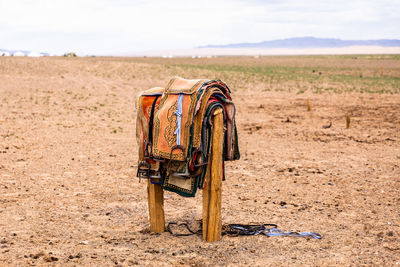 Horse cart on field