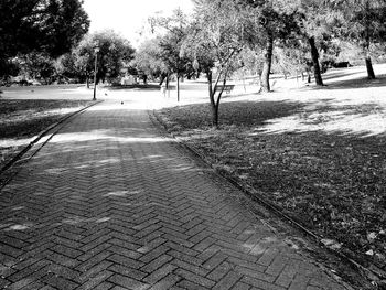 View of footpath in park