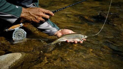 High angle view of hand holding fish in lake