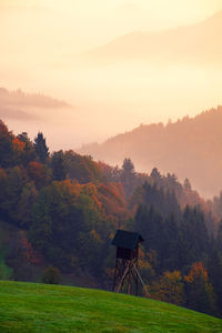 Scenic view of trees on field against sky during sunset