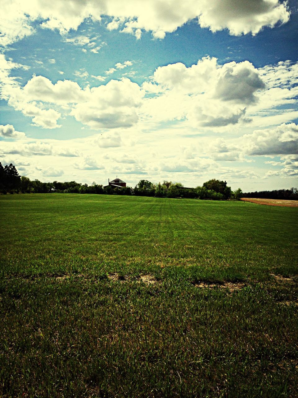 grass, sky, field, landscape, cloud - sky, tranquil scene, grassy, tranquility, scenics, green color, beauty in nature, cloud, nature, cloudy, horizon over land, rural scene, idyllic, day, outdoors, growth