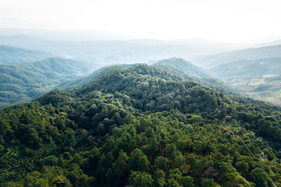 High angle view of trees and mountains during foggy weather