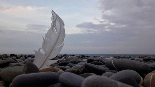 Close-up of pebbles in sea against sky