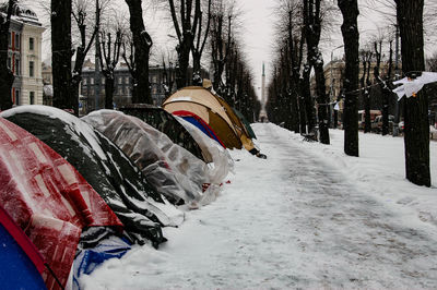 Panoramic view of trees during winter