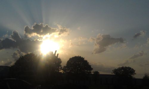 Sunlight streaming through silhouette trees against sky during sunset