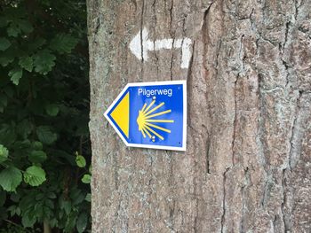 Information sign on tree trunk