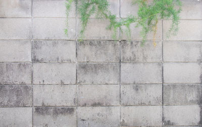 Concrete block wall background