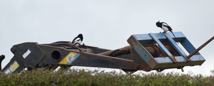 Low angle view of bird perching on old cable car