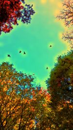 Low angle view of birds flying in sky