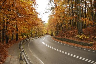 Empty road along trees during autumn