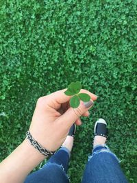 Cropped image of woman holding small plant growing on field