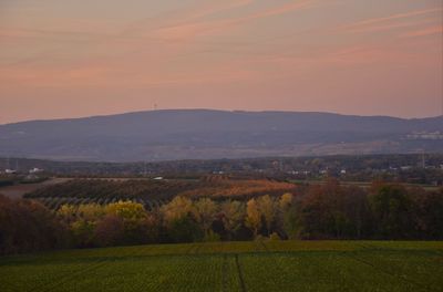 Scenic view of field against orange sky