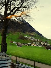 Scenic view of field against sky