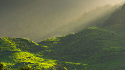 Scenic view of green landscape against sky
