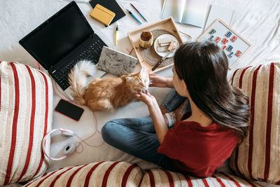 Freelancer young woman working in home office with laptop computer and cat. remote online working