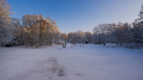 Bare tree on snow covered field against clear sky