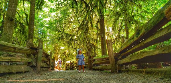 People standing by trees in forest