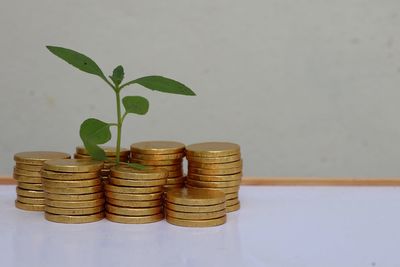 finance