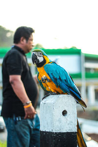 Bird perching on bollard against man