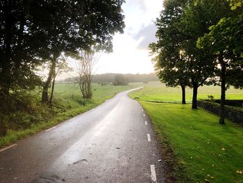 Empty road along trees and plants