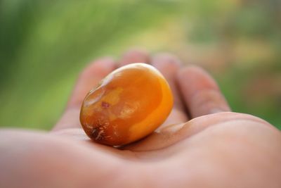 Close-up of hand holding apple