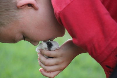 Close-up of boy kissing hamster