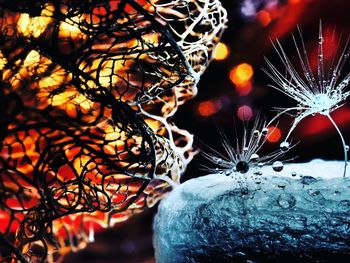 Close-up of christmas decorations at night