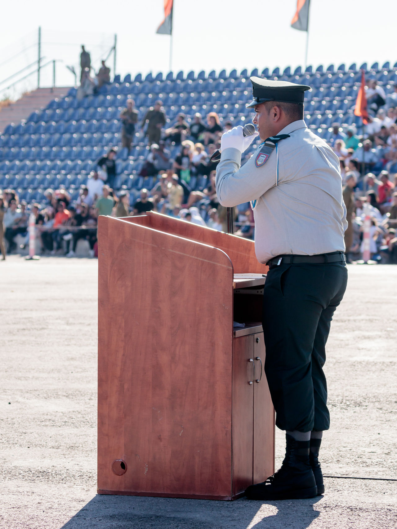 Israel defense forces