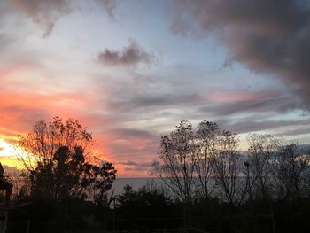 Silhouette trees against dramatic sky during sunset