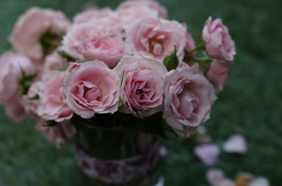 Close-up of pink rose bouquet