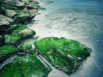 High angle view of rocks on sea shore